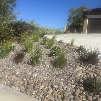 New Image Tree Care - New water wise plants - Tree Services Near Me - Corona, California