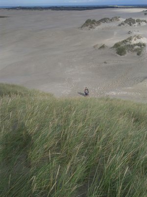 Råbjerg Mile by null