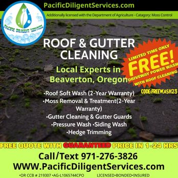 Pacific Diligent Services - FREE Driveway Pressure Washing - Pressure Washers Near Me Pacific Diligent Services - FREE Driveway Pressure Washing - Pressure Washers Near Me