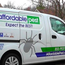 Affordable Pest - Carpentry work to fix all possible squirrel entrances in the attic and inside the walls, mice problem in the laundry room solved.