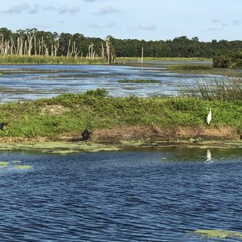 Orlando Wetlands - Parks Near Me - Christmas, Florida