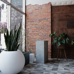 Rise Studios