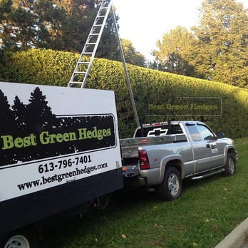 Best Green Hedges - Professional Hedge Trimming Services in Ottawa - Tree Services Near Me - Ottawa, Ontario Best Green Hedges - Professional Hedge Trimming Services in Ottawa - Tree Services Near Me - Ottawa, Ontario
