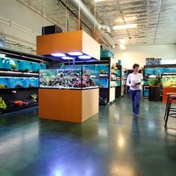 Age of Aquariums - Age of Aquariums retail store, picturing our 350 gallon live reef display