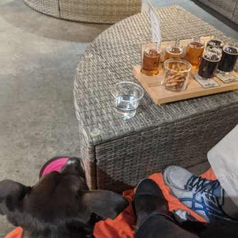 Hold Fast Brewing - Doggo friendly! - Breweries Near Me - Springfield, Missouri