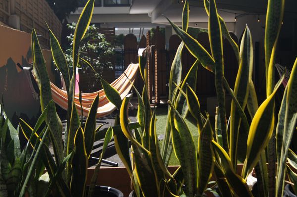 Polynesian Hostel Beach Club by null