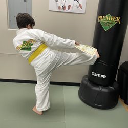 Premier Martial Arts Lake Norman