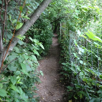 Minooka Park - The trails are narrowing from growing weeds and brush, but still fun to run through with the dogs! - Hiking Near Me - Waukesha, Wisconsin
