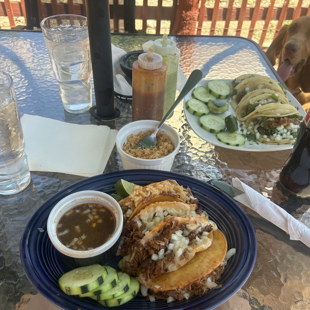 Birria tacos Birria tacos