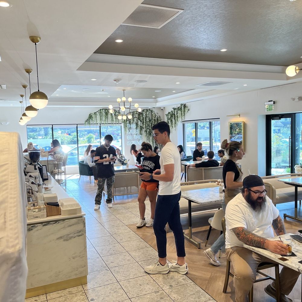 The Scene - Coffee & Tea Near Me - Albany, New York The Scene - Coffee & Tea Near Me - Albany, New York