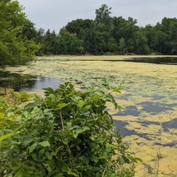 Cedar Lake