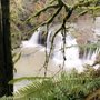 Lacamas Creek Trail