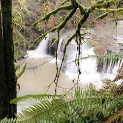 Lacamas Creek Trail - Waterfalls :))