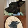 Photo of Artful Expressions