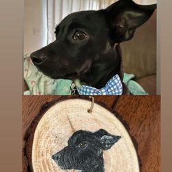 Artful Expressions