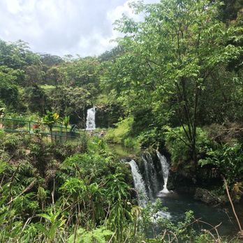 Polynesian Adventure - Bus Tours Near Me - Honolulu, Hawaii Polynesian Adventure - Bus Tours Near Me - Honolulu, Hawaii
