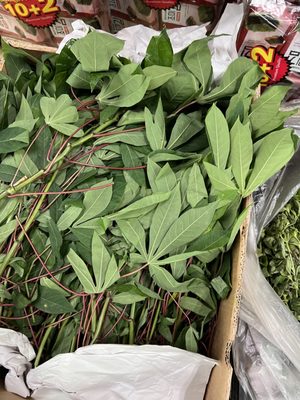 A Dong Market by null