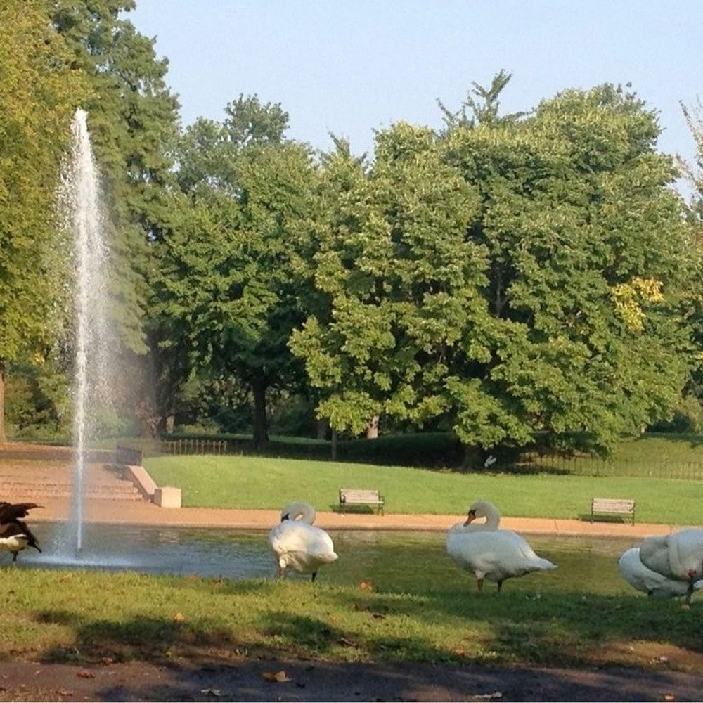 Lafayette Park - Parks Near Me - Saint Louis, Missouri Lafayette Park - Parks Near Me - Saint Louis, Missouri