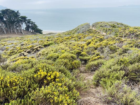 Batteries to Bluffs Trail by null