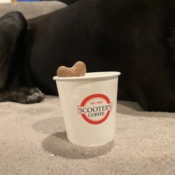 Scooter's Coffee - Puppycinno