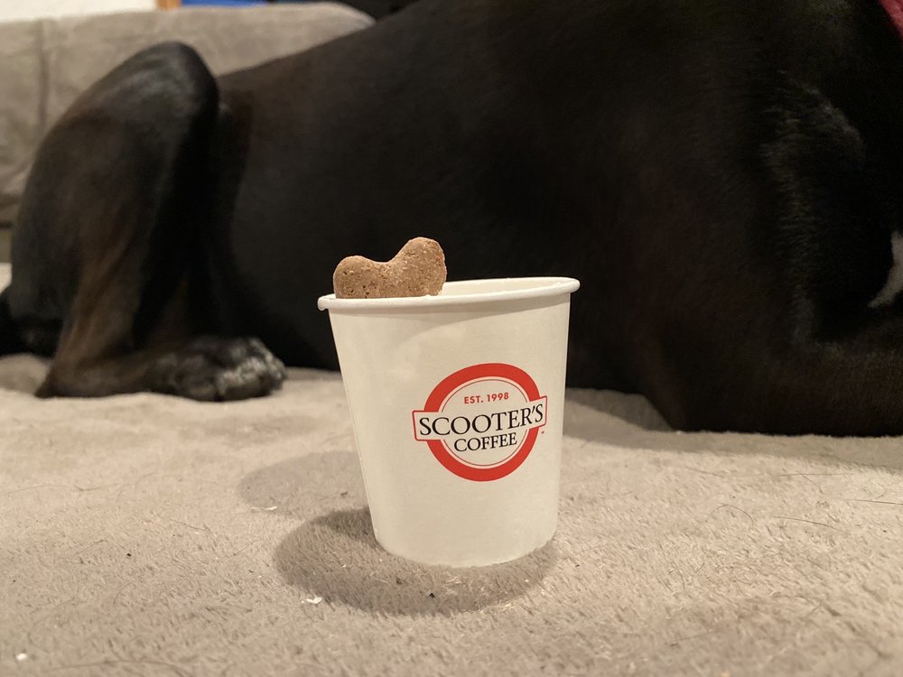 SCOOTER’S COFFEE 11 Reviews 3414 Broadway Blvd, Garland, Texas