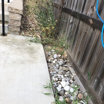 Yardnique - Weeds and unkept area around pool deck all summer. - Landscaping Near Me - Morrisville, North Carolina