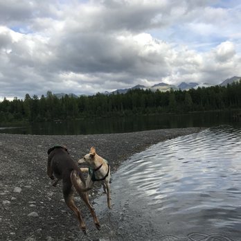 University Lake Dog Park - Dog Parks Near Me - Anchorage, Alaska University Lake Dog Park - Dog Parks Near Me - Anchorage, Alaska