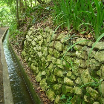 Hacienda Buena Vista - Walking on the the tour - Tours Near Me - Ponce, Puerto Rico