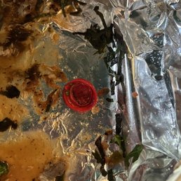 We found a lid (perhaps from the bottle of cooking oil) in my fathers fish fish.