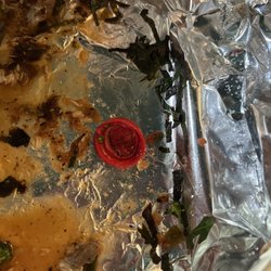 Cabo Coyote - We found a lid (perhaps from the bottle of cooking oil) in my fathers fish fish.