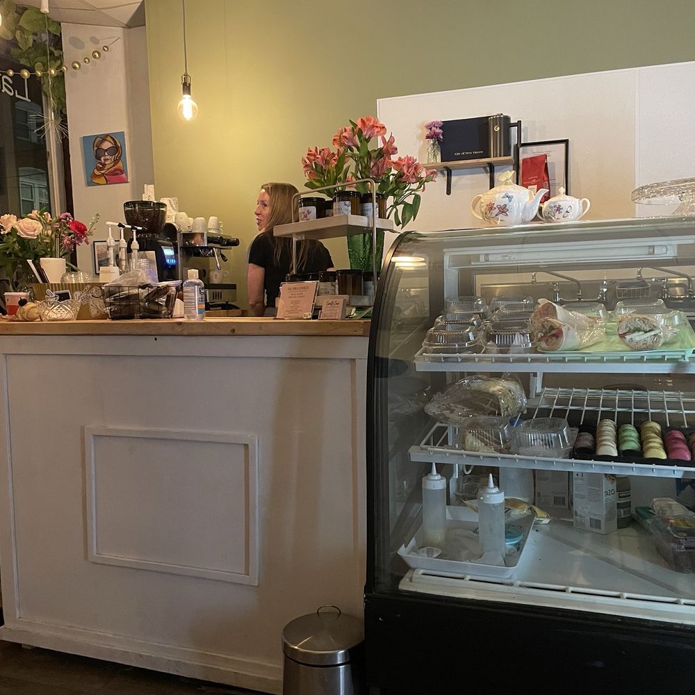 Little Dandelion - Cafes Near Me - New Haven, Connecticut Little Dandelion - Cafes Near Me - New Haven, Connecticut