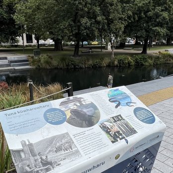 Leisure Tours - Eels and Avon River - Tours Near Me - Lyttelton, CAN
