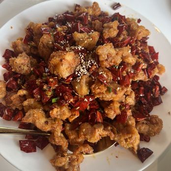 Tasty Szechuan - Spicy fried chicken - Szechuan Near Me - Hayward, California Tasty Szechuan - Spicy fried chicken - Szechuan Near Me - Hayward, California