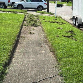 Lawn Envy - Edging on a lawn maintenance - Lawn Services Near Me - Westwego, Louisiana Lawn Envy - Edging on a lawn maintenance - Lawn Services Near Me - Westwego, Louisiana