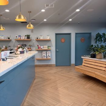 Arcadia Animal Hospital - reception - Veterinarians Near Me - Arcadia, California Arcadia Animal Hospital - reception - Veterinarians Near Me - Arcadia, California