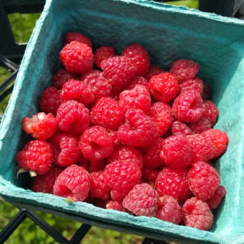 Valley View Farms - U pick raspberries - Fruits & Veggies Near Me - Newton, New Jersey Valley View Farms - U pick raspberries - Fruits & Veggies Near Me - Newton, New Jersey