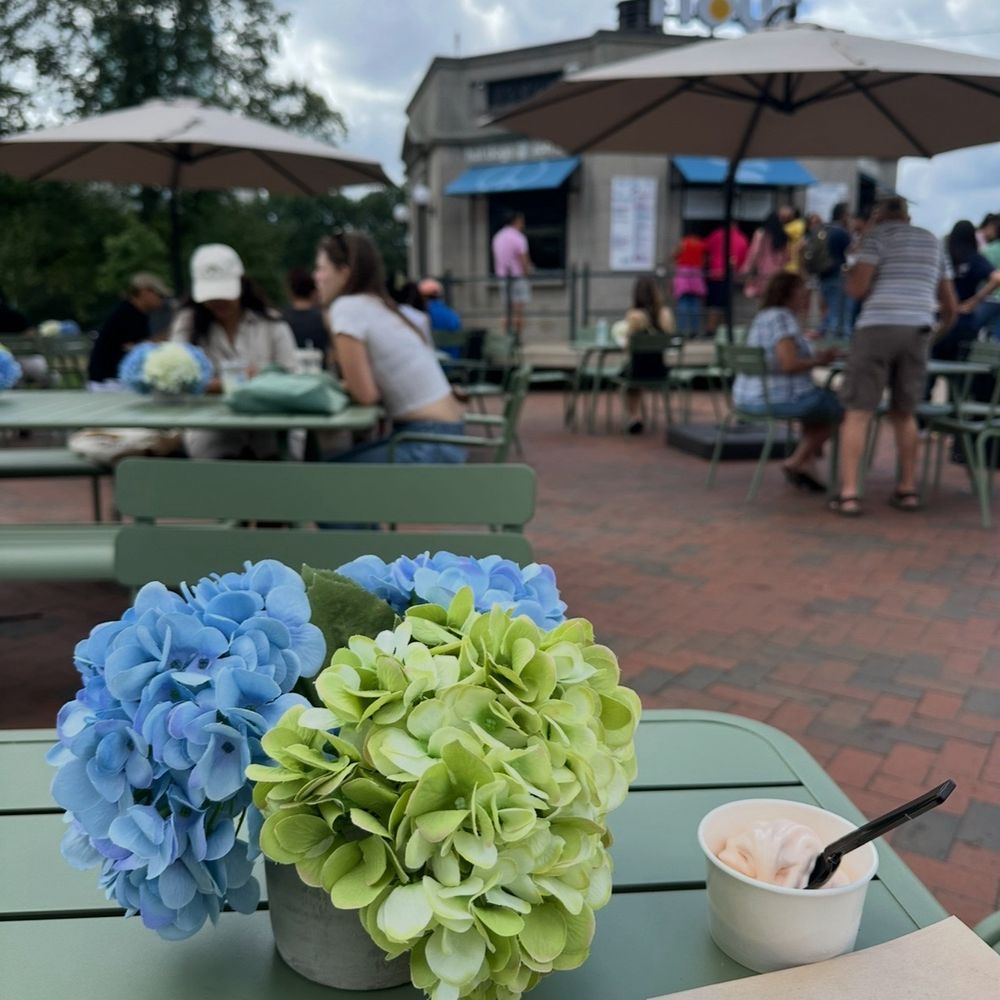 Flour Bakery & Cafe - Enjoying soft serve at outdoor seating - Bakeries Near Me - Boston, Massachusetts Flour Bakery & Cafe - Enjoying soft serve at outdoor seating - Bakeries Near Me - Boston, Massachusetts