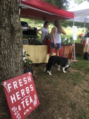 East Nashville Farmers Market by null