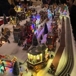 Asbury Woods - Holiday lights train room