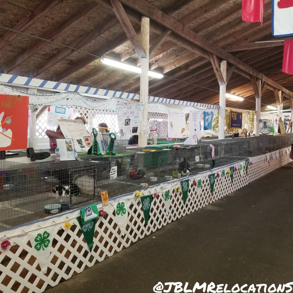 Thurston County Fair - Animals! This was the area for bunnies, guinea pigs and cats. We walked thru the puppy area to get here but I forgot to take pics. - Venues & Event Spaces Near Me - Lacey, Washington
