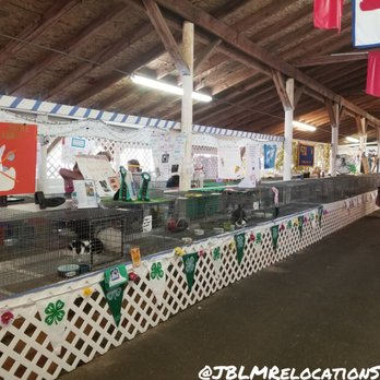 Thurston County Fair - Animals! This was the area for bunnies, guinea pigs and cats. We walked thru the puppy area to get here but I forgot to take pics. - Venues & Event Spaces Near Me - Lacey, Washington