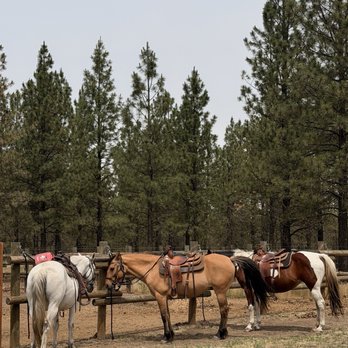 PNW Guided Trail Rides - Horseback Riding Near Me - Spokane, Washington PNW Guided Trail Rides - Horseback Riding Near Me - Spokane, Washington