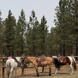 PNW Guided Trail Rides