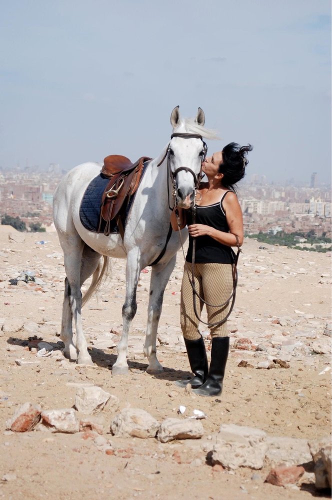 LA HACIENDA PET SHOP Updated August 2024 44 Photos 2534 E Alondra Blvd, Compton