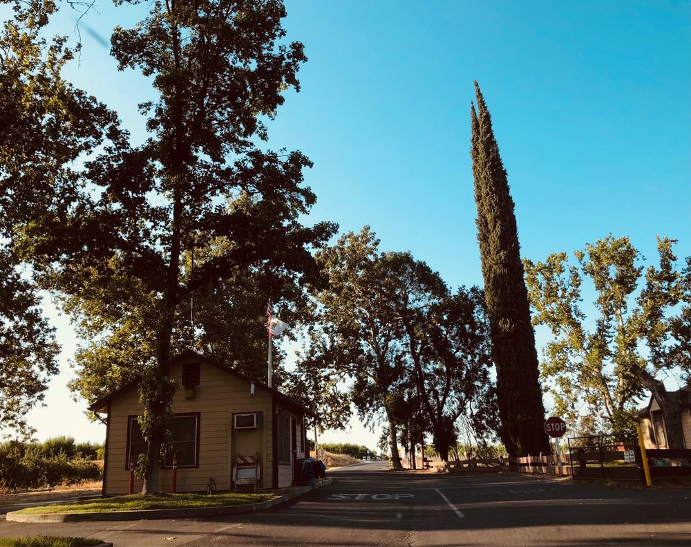 MCCONNELL STATE RECREATION AREA 31 Photos & 34 Reviews 8810