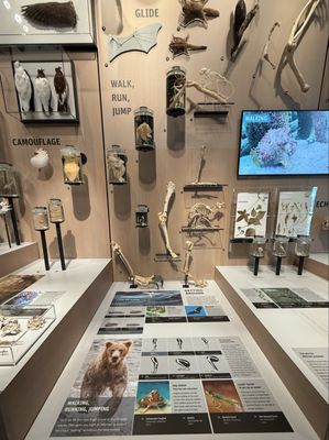 Burke Museum of Natural History and Culture by null Burke Museum of Natural History and Culture by null