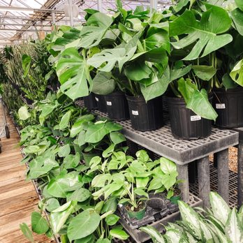 Atlantic Gardening Company - Nurseries & Gardening Near Me - Raleigh, North Carolina