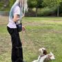 Photo of Peaceful Pups Dog Training