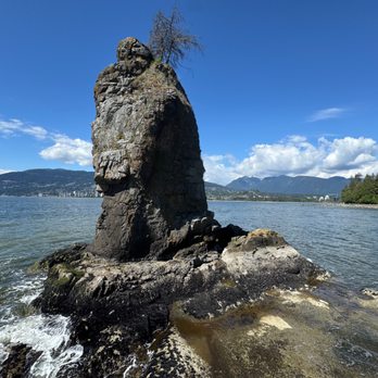 Stanley Park - rock outcrop - Parks Near Me - Vancouver, British Columbia