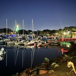 The Dana on Mission Bay - You can see the Christmas tree in Sea Word from the grounds of the hotel.